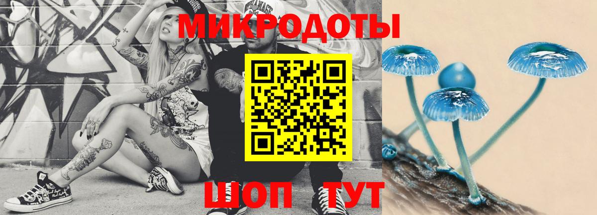 Галлюциногенные грибы ЛСД Тулун