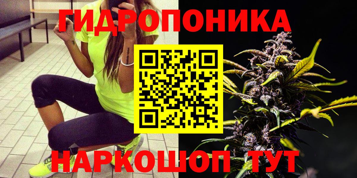 Тулун  Бошки Шишки план  Вход с VPN  Марихуана сатива  Бошки марихуана ГИДРОПОН  Конопля план 